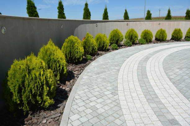 Best Commercial Driveway Pavers  in Montevlo, AL